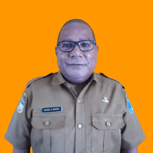 GEORGE A. KBAREK, SE., MT